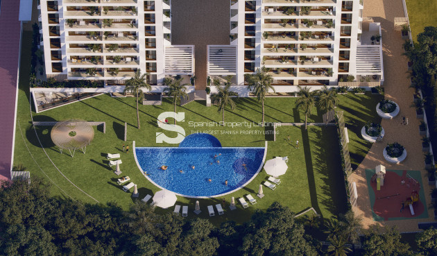 Attique - Nouvelle construction - Guardamar del Segura - Guardamar Del Segura