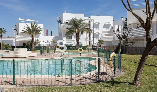 Attique - Nouvelle construction - Vera - Vera