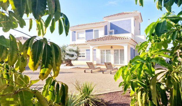 detached - New Build - Purias - Purias