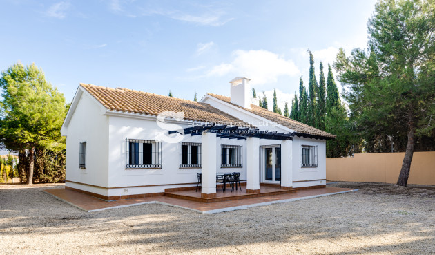 detached - Obra nueva - Fuente Álamo - Fuente Alamo