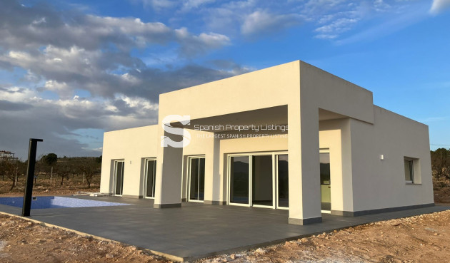 detached - Obra nueva - Pinoso - Pinoso