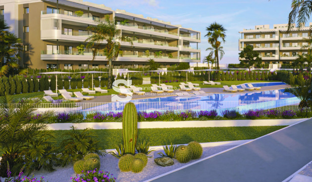 ground-floor - Obra nueva - Torrevieja - Torrevieja