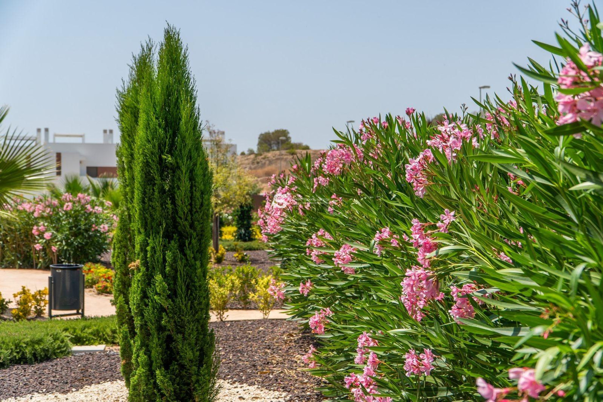 Nouvelle construction - Bungalow - Orihuela - Vistabella Golf