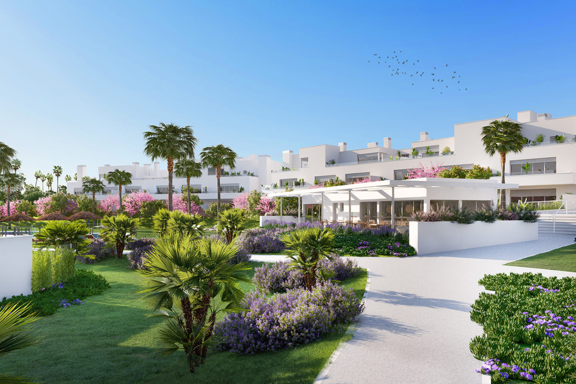 Obra nueva - Apartment - Estepona
