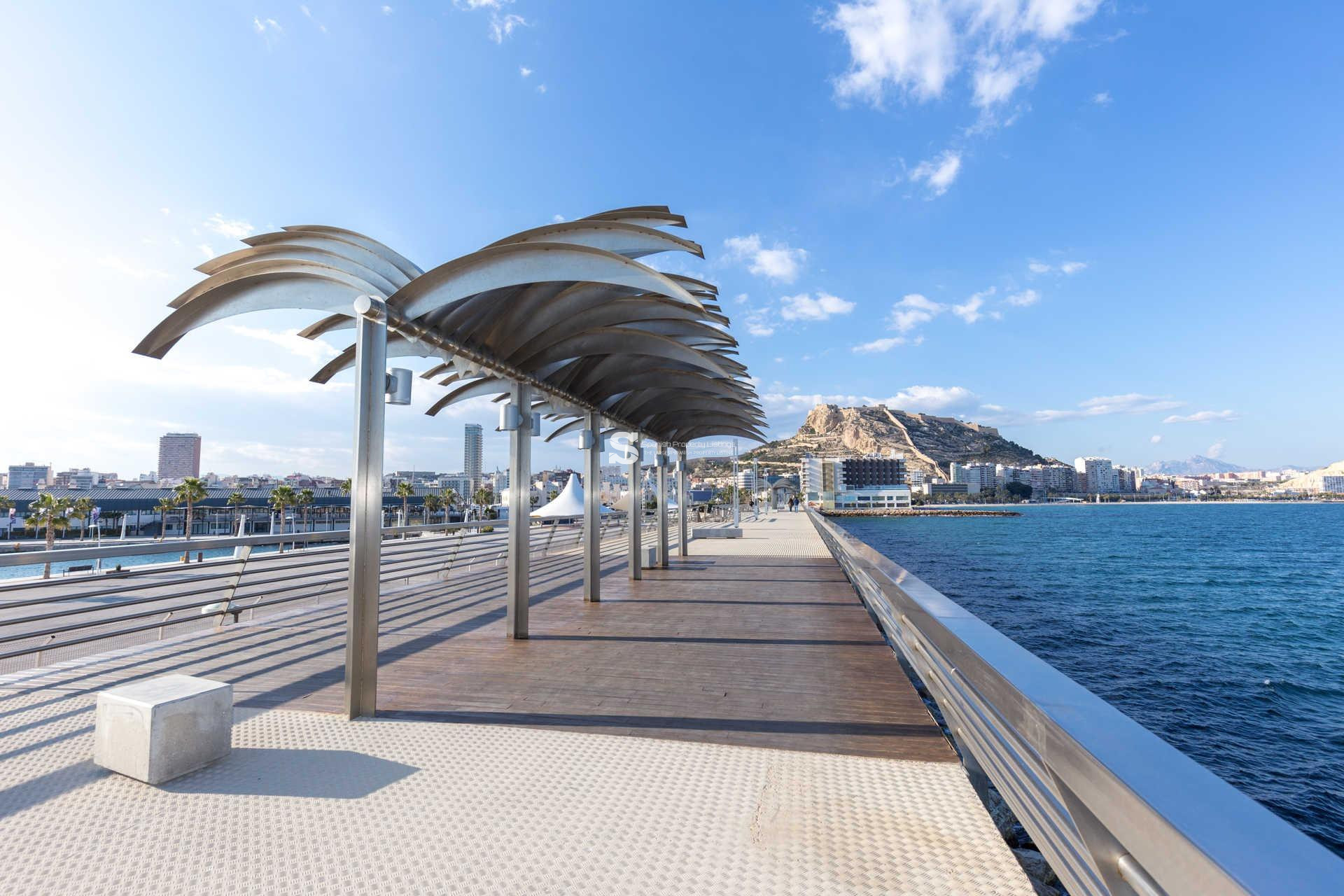 Obra nueva - Ático - Alicante - Centro