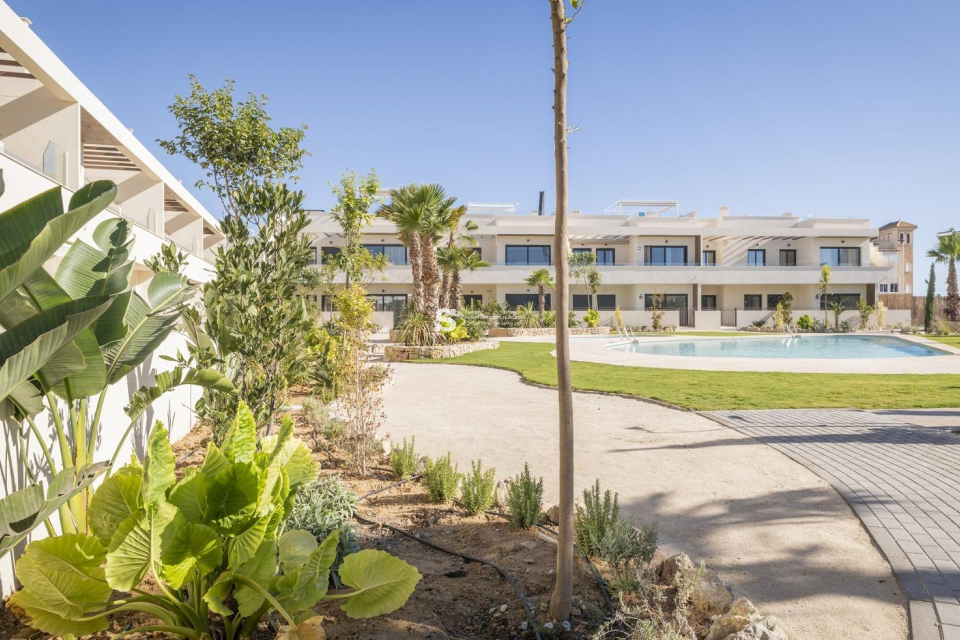 Obra nueva - Bungalow - Torrevieja - Villa Amalia