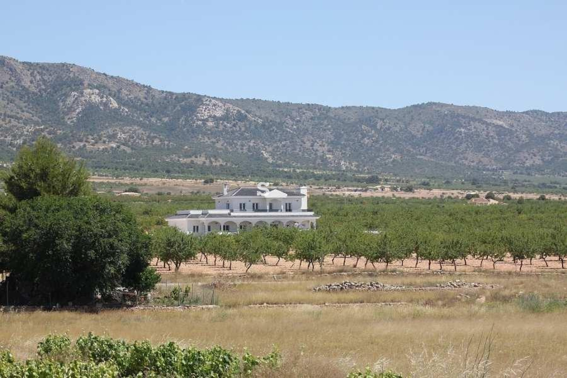 Obra nueva - Villa - Pinoso - Camino Del Prado