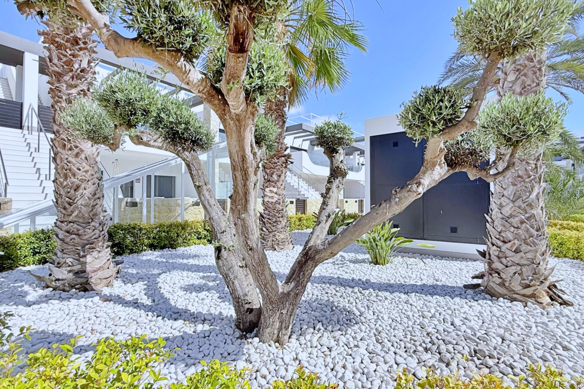 Resale - Penthouse - Orihuela Costa - Punta Prima