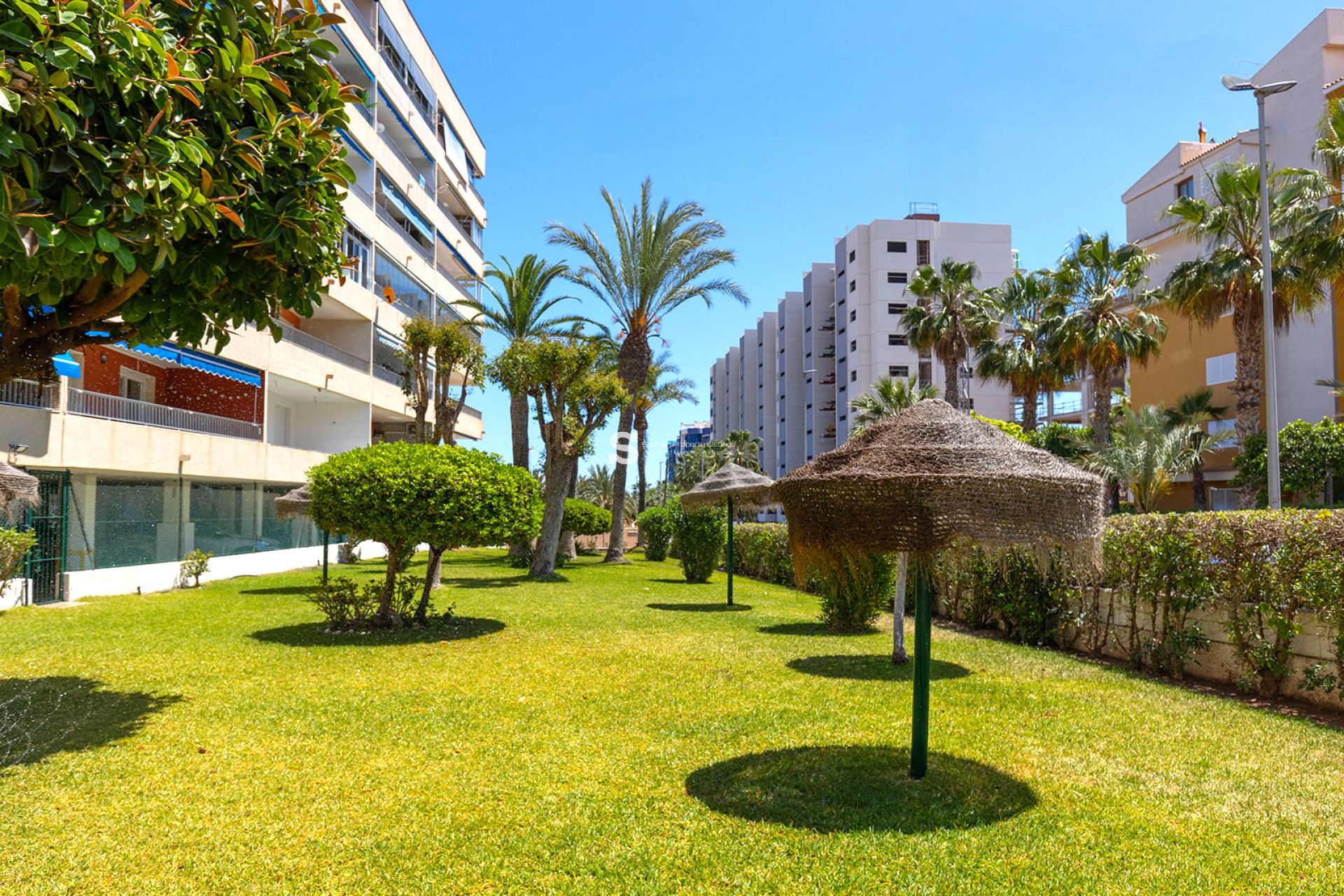 Revente - Apartment - Torrevieja - Rocio del Mar