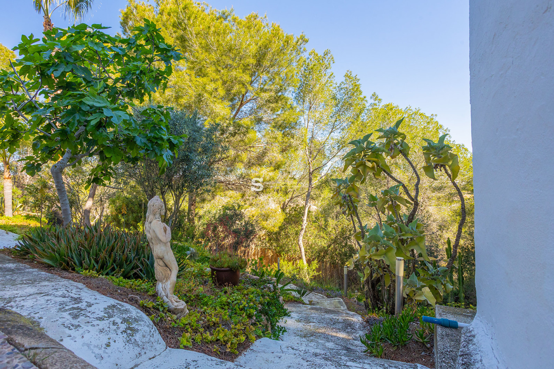 Revente - Villa - Orihuela - Orihuela Costa