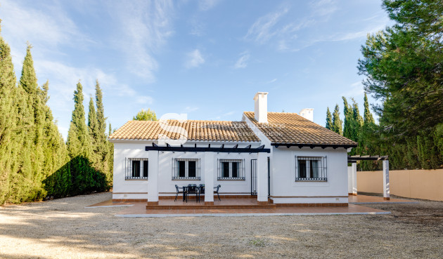 terraced - Nouvelle construction - Fuente Álamo - Fuente Alamo