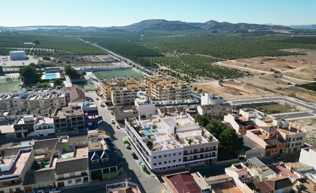 Nouvelle construction - Apartment - Algorfa