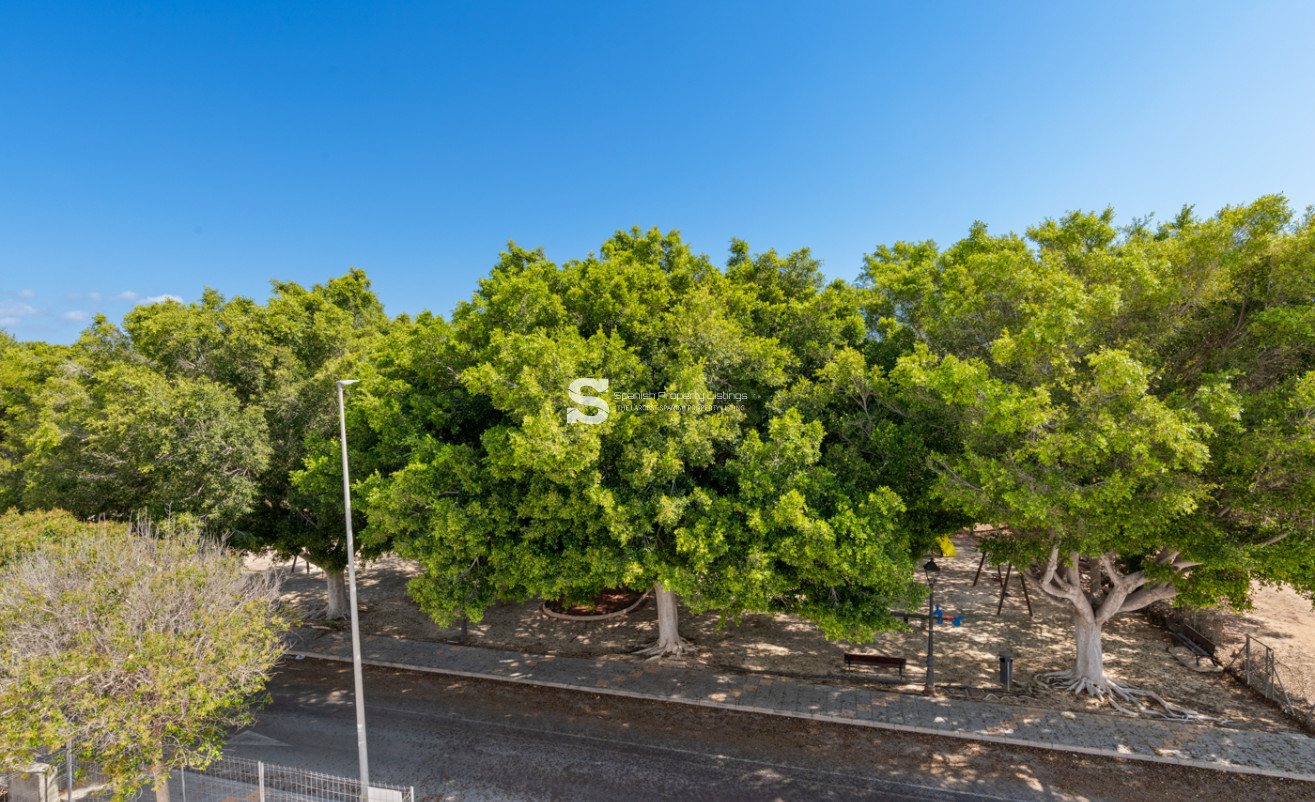 Nouvelle construction - detached - Pilar de la Horadada