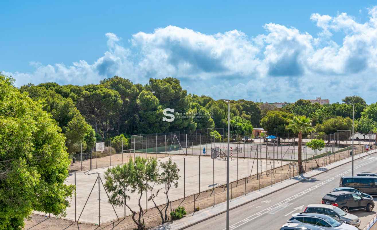 Nouvelle construction - detached - Pilar de la Horadada