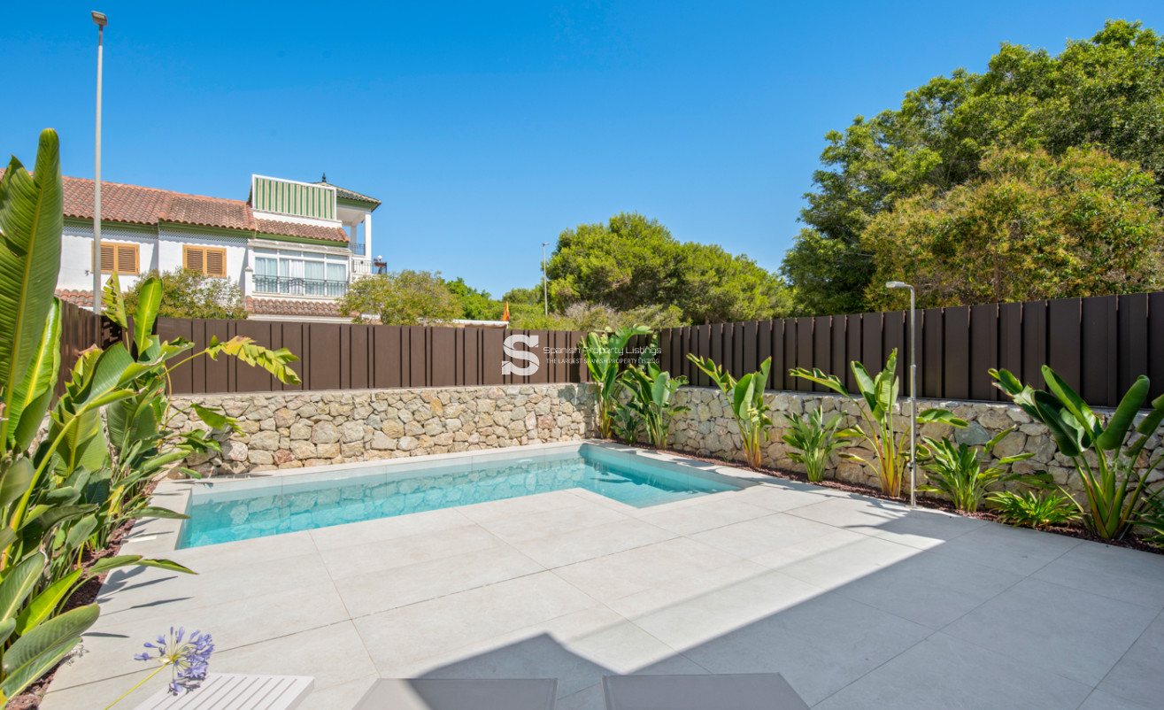 Nouvelle construction - detached - Pilar de la Horadada