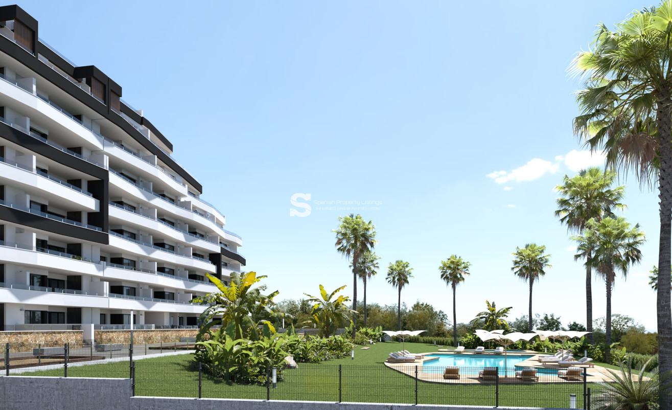 Obra nueva - Apartment - San Miguel de Salinas