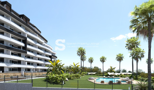 Obra nueva - Apartment - San Miguel de Salinas