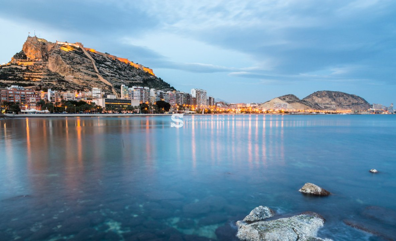 Obra nueva - detached - Mutxamel