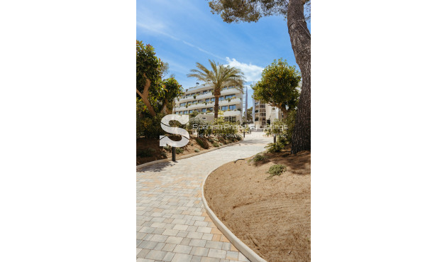 Nouvelle construction - ground-floor - Alfaz del Pi