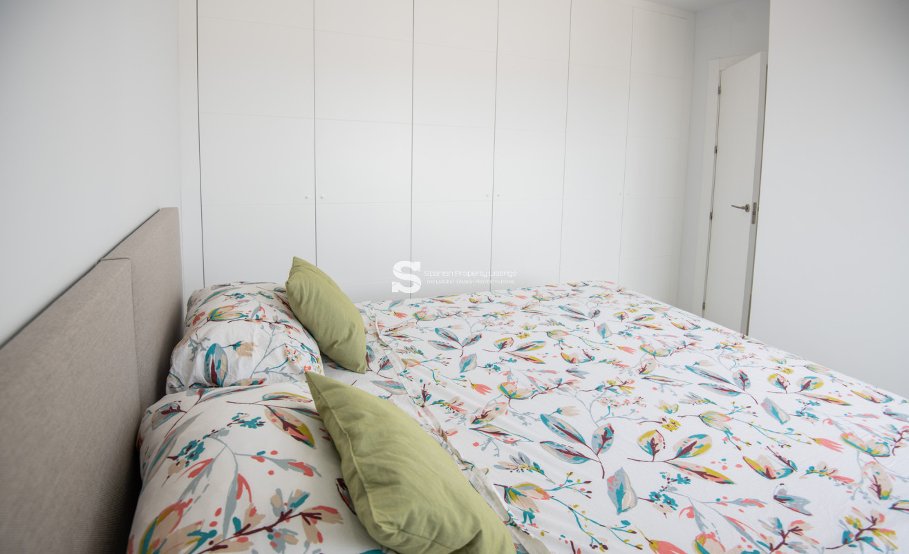 Obra nueva - detached - Pinar de Campoverde