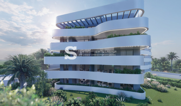 Obra nueva - Ático - Guardamar del Segura - Guardamar Del Segura