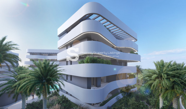 Obra nueva - Ático - Guardamar del Segura - Guardamar Del Segura