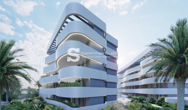 Obra nueva - Ático - Guardamar del Segura - Guardamar Del Segura