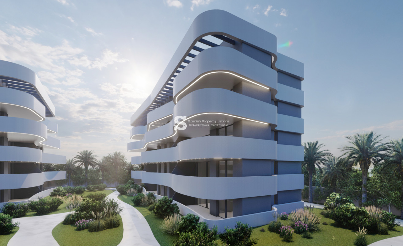 Obra nueva - ground-floor - Guardamar del Segura - Guardamar Del Segura