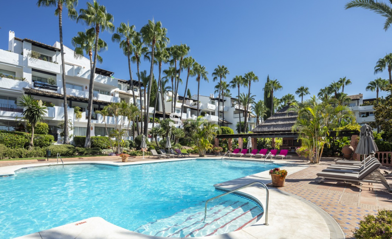 Obra nueva - ground-floor - Marbella