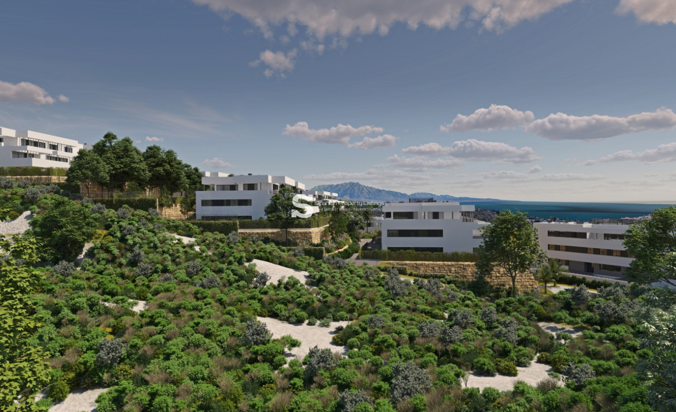New Build - Penthouse - Casares