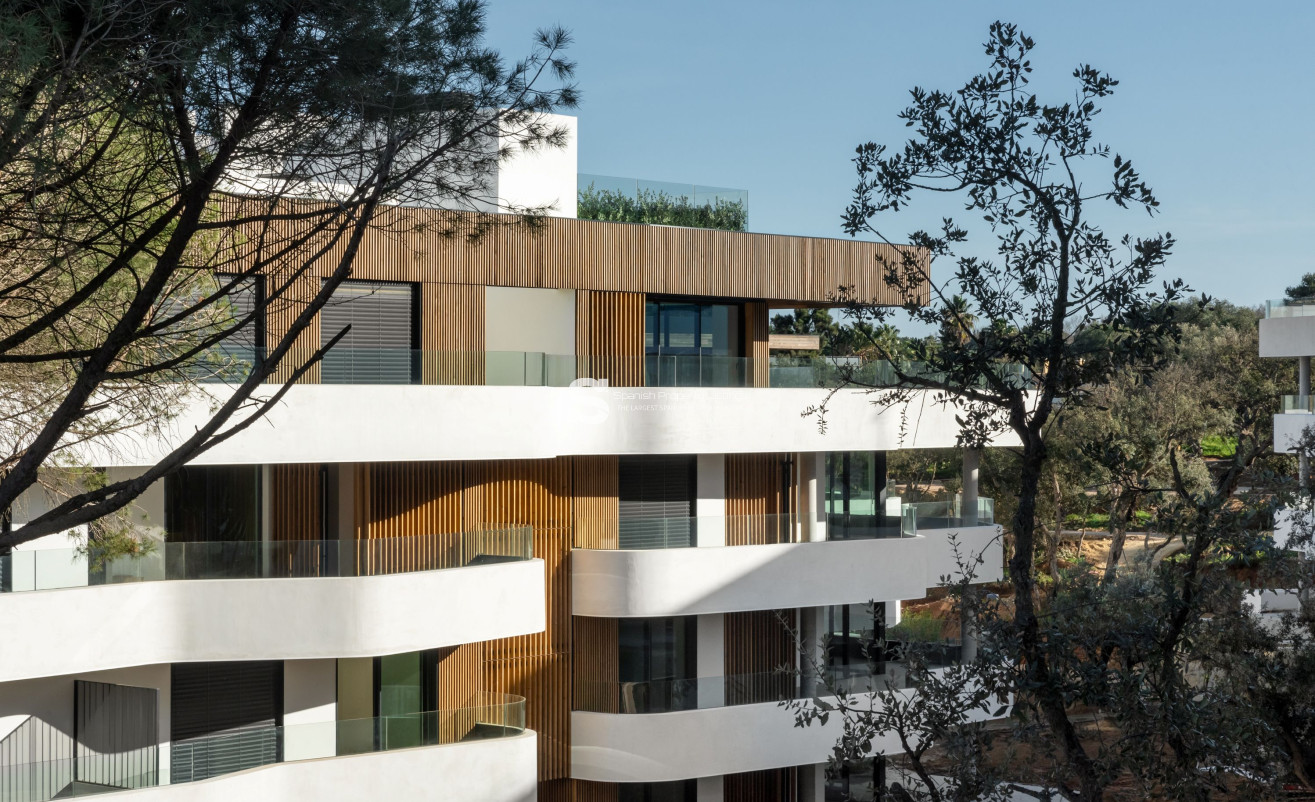 Obra nueva - ground-floor - Pueblo Nuevo