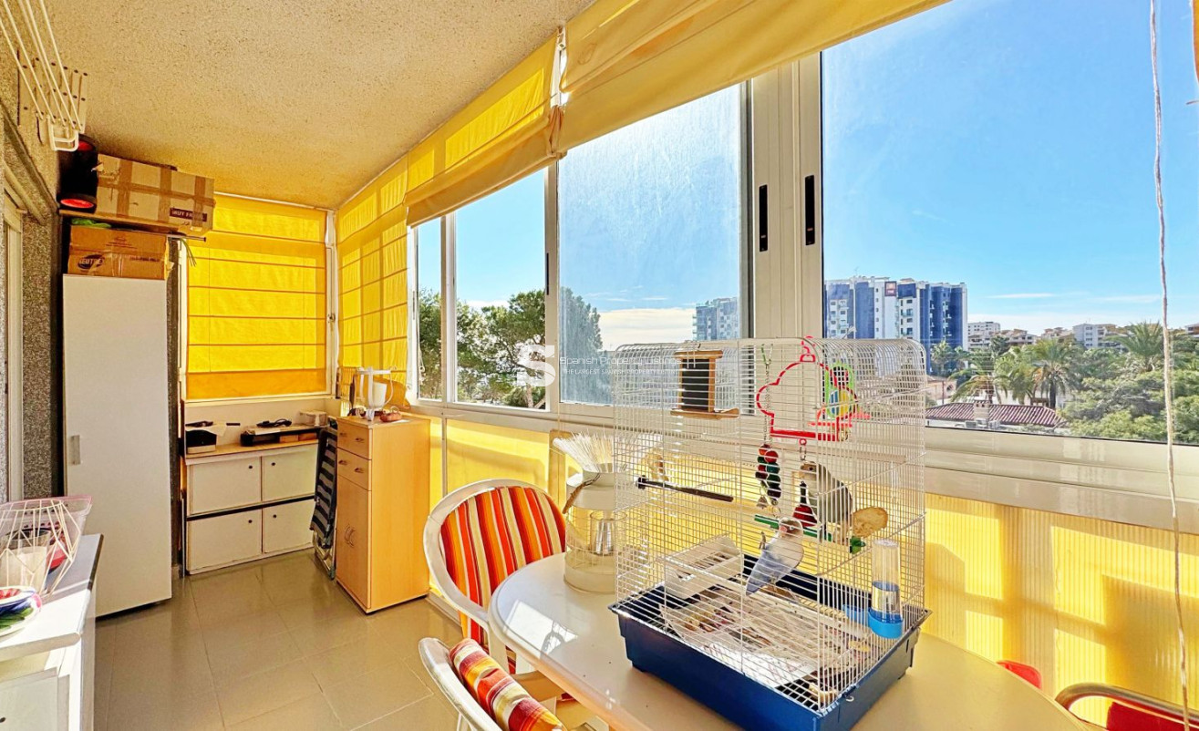 Resale - Apartment - Torrevieja - Rocio del Mar