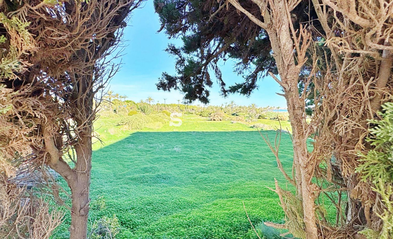 Resale - Apartment - Torrevieja - Rocio del Mar