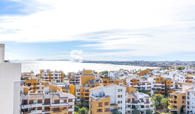 Resale - Penthouse - Torrevieja - Punta Prima