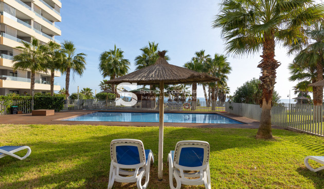 Resale - Penthouse - Torrevieja - Punta Prima