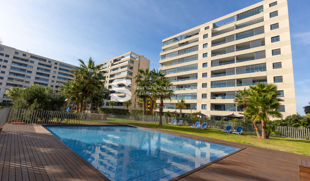 Resale - Penthouse - Torrevieja - Punta Prima