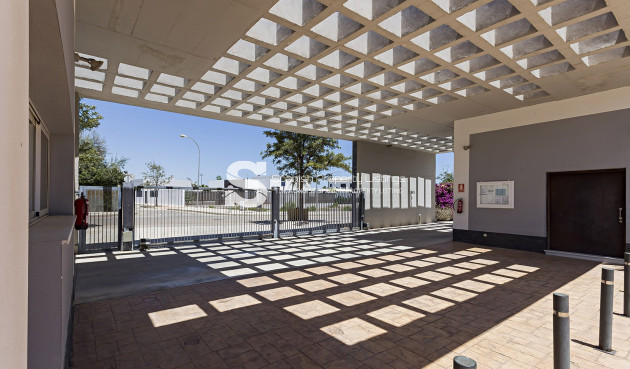 Obra nueva - ground-floor - Vera