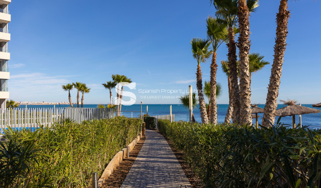 Resale - Apartment - Torrevieja - Punta Prima