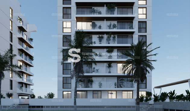 Obra nueva - Ático - Guardamar del Segura - Guardamar Del Segura