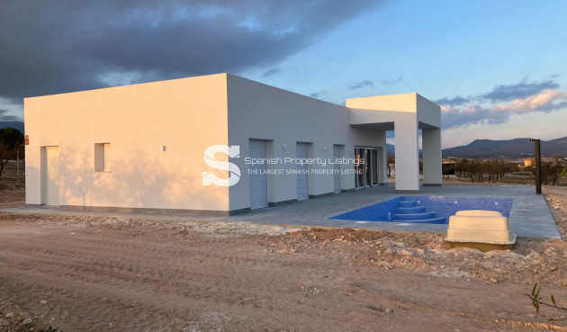 Nouvelle construction - detached - Pinoso
