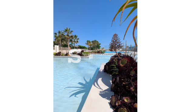 Obra nueva - Apartment - Denia - Dénia