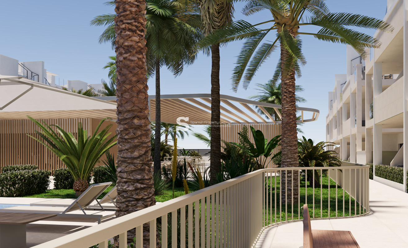 Obra nueva - Apartment - Torre-Pacheco