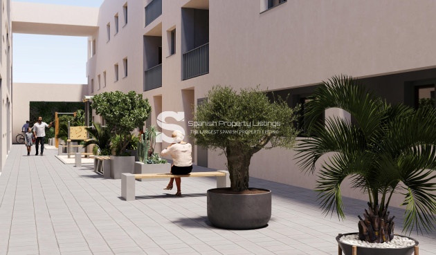 New Build - ground-floor - San Miguel de Salinas