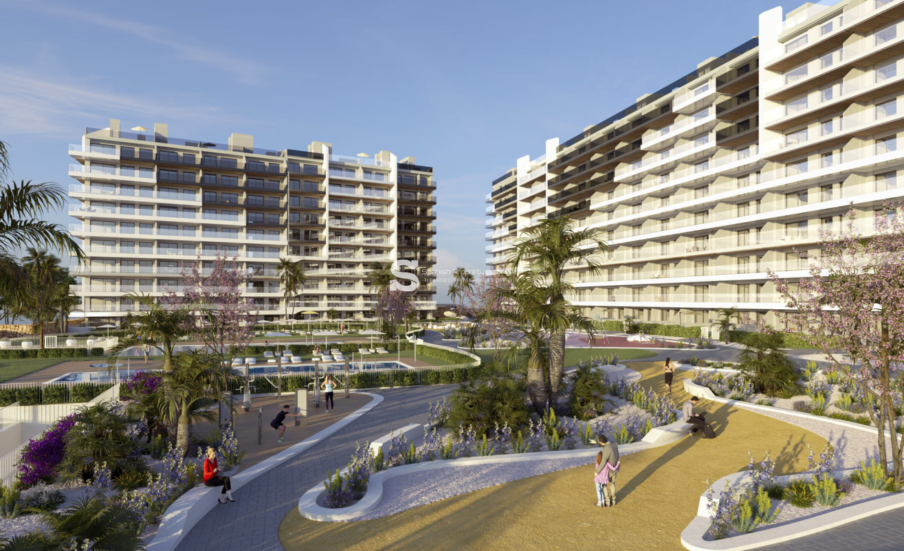Obra nueva - Ático - Punta Prima