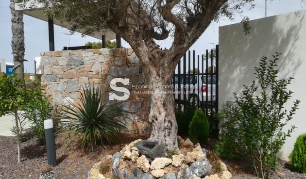 Nouvelle construction - high-bungalow - Torrevieja