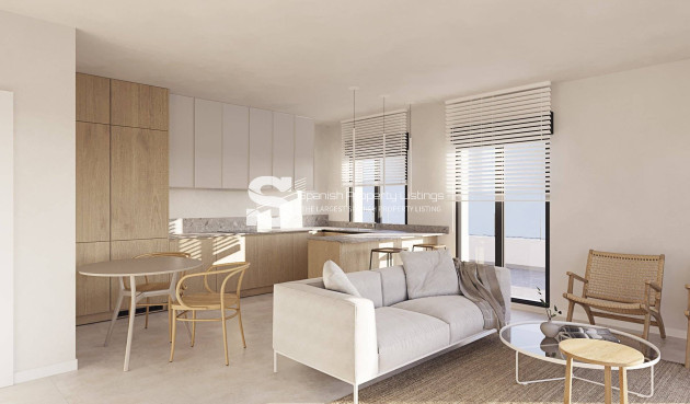 New Build - Penthouse - Casares Costa