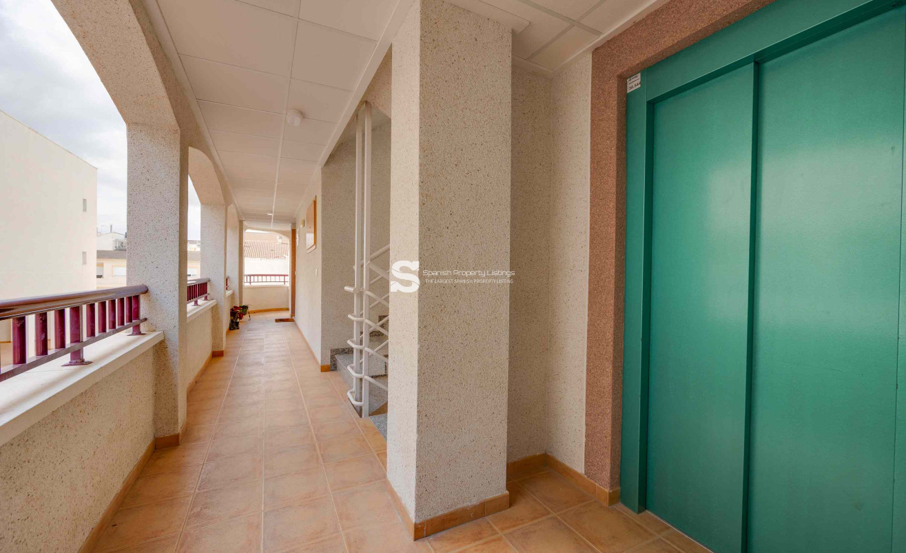 Nouvelle construction - Apartment - San Fulgencio