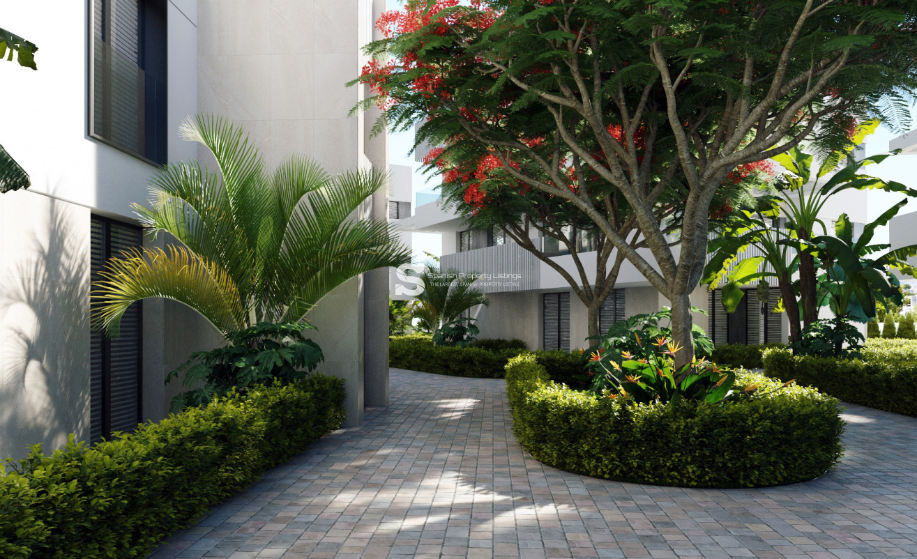 Obra nueva - ground-floor - Torre-Pacheco