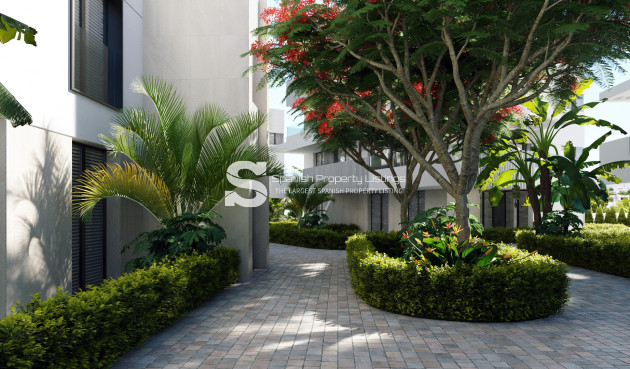 Obra nueva - ground-floor - Torre-Pacheco