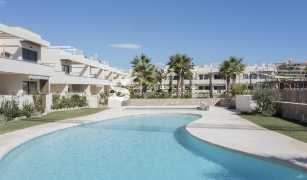 Obra nueva - high-bungalow - Torrevieja